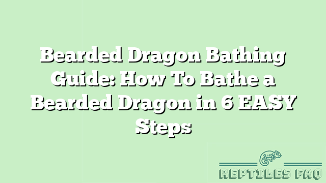 Bearded Dragon Bathing Guide: How To Bathe a Bearded Dragon in 6 EASY Steps