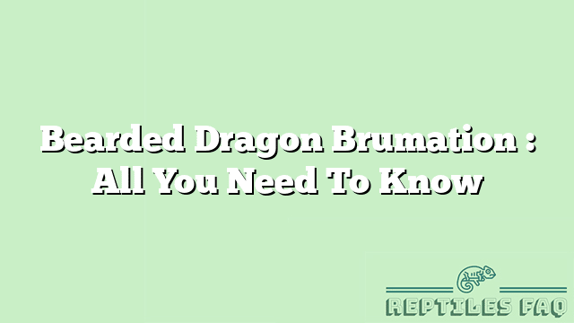 Bearded Dragon Brumation : All You Need To Know