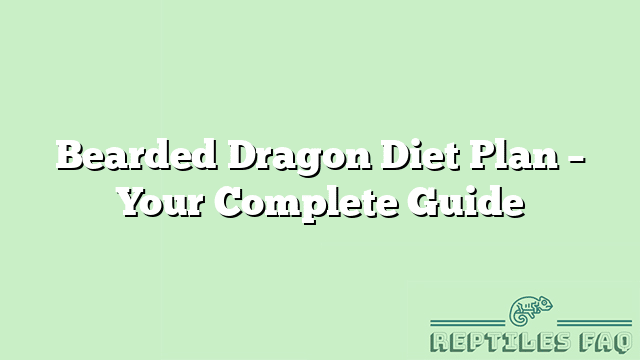 Bearded Dragon Diet Plan – Your Complete Guide