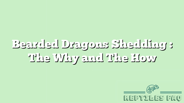 Bearded Dragons Shedding : The Why and The How