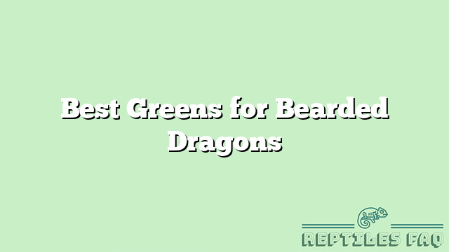 Best Greens for Bearded Dragons