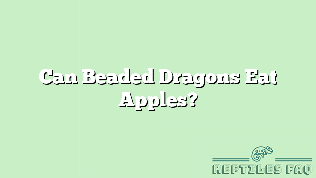 Can Beaded Dragons Eat Apples?