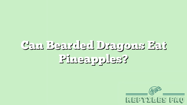 Can Bearded Dragons Eat Pineapples?