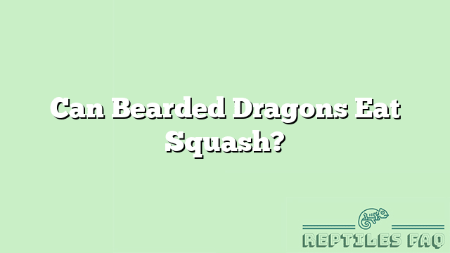 Can Bearded Dragons Eat Squash?