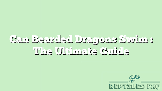 Can Bearded Dragons Swim : The Ultimate Guide