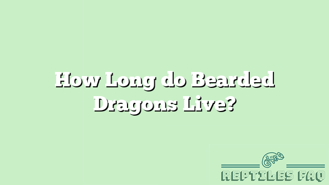 How Long do Bearded Dragons Live?