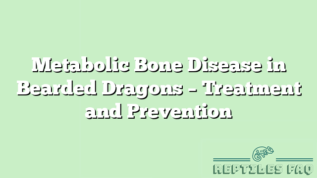 Metabolic Bone Disease in Bearded Dragons – Treatment and Prevention