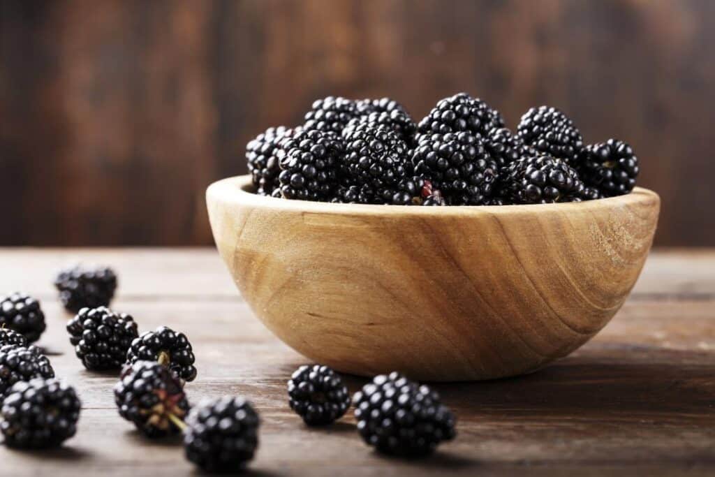 blackberries for bearded dragons