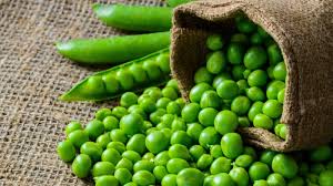 peas for bearded dragons